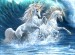 sea unicorns
